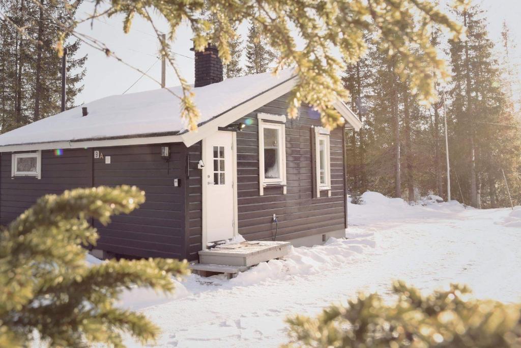 Koselig Hytte i Hemsedal photo 1