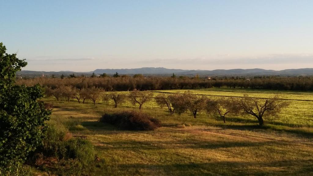 Agriturismo La Corte - Viterbo Terme photo 4