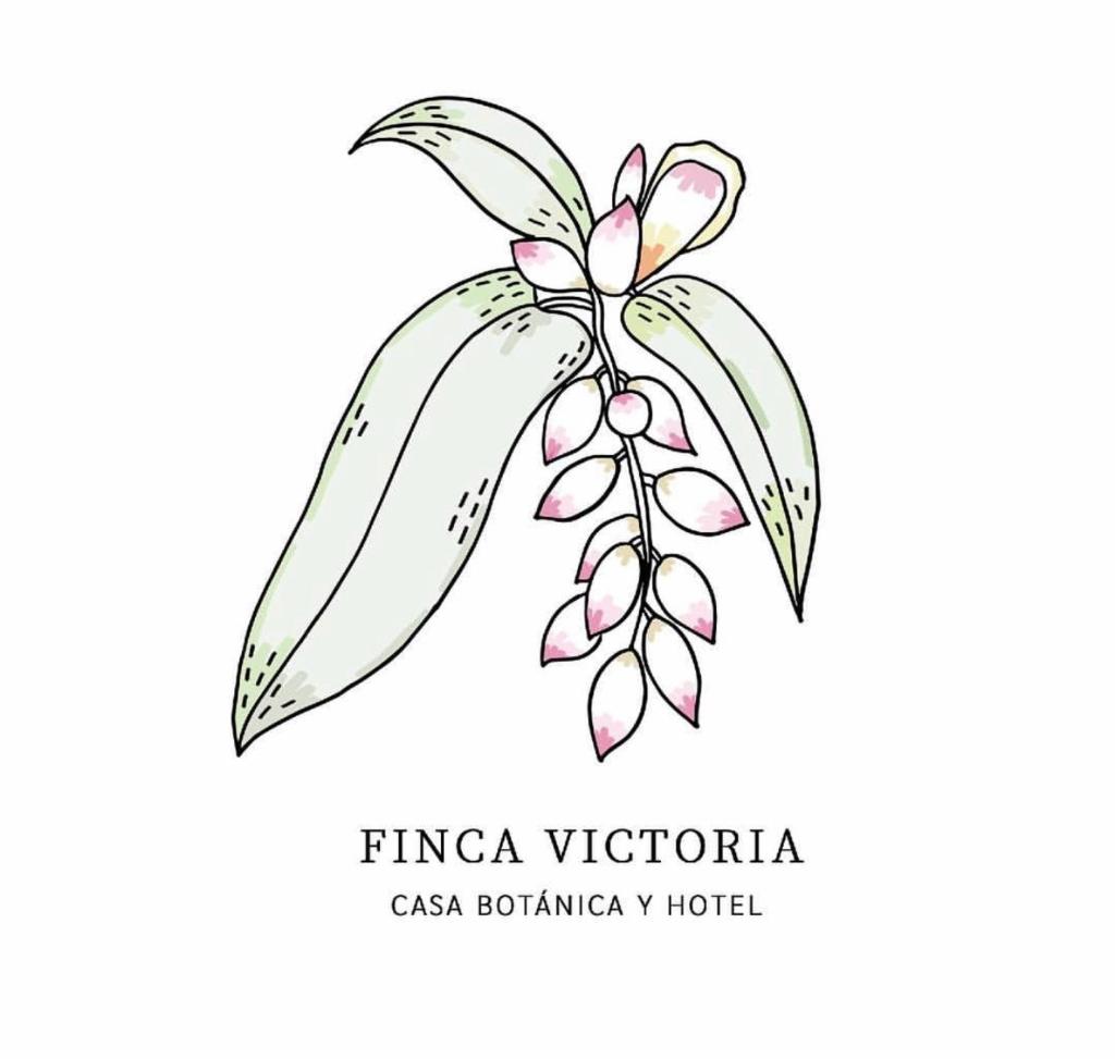 Finca Victoria photo 1