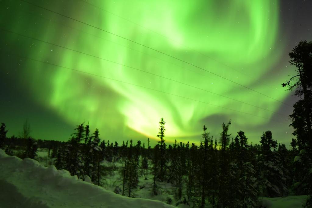 Aurora deluxe Guest House photo 3
