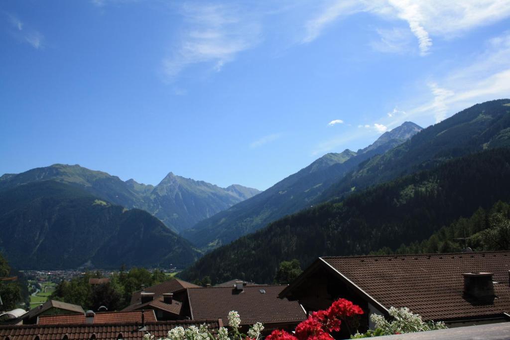 Двухместный (Двухместный номер с 1 кроватью), Hotel Neuwirt