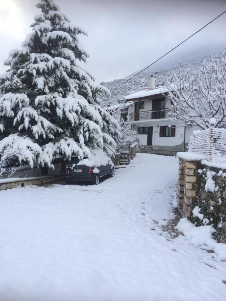 Gourgiana Apartments photo 1