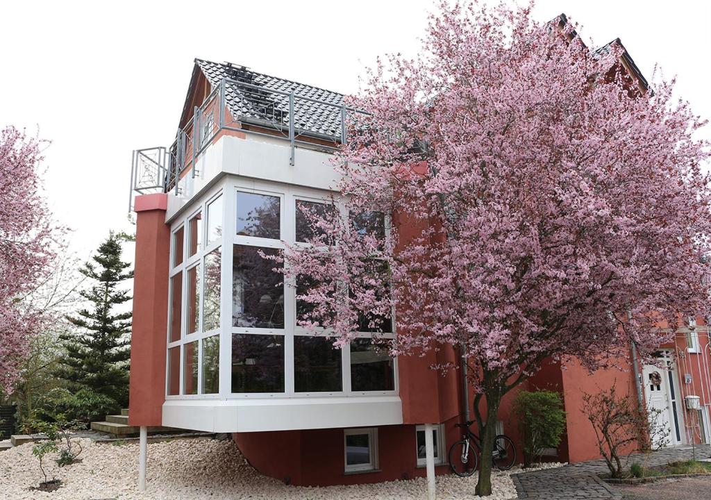 Gästehaus Kirschgarten photo 1