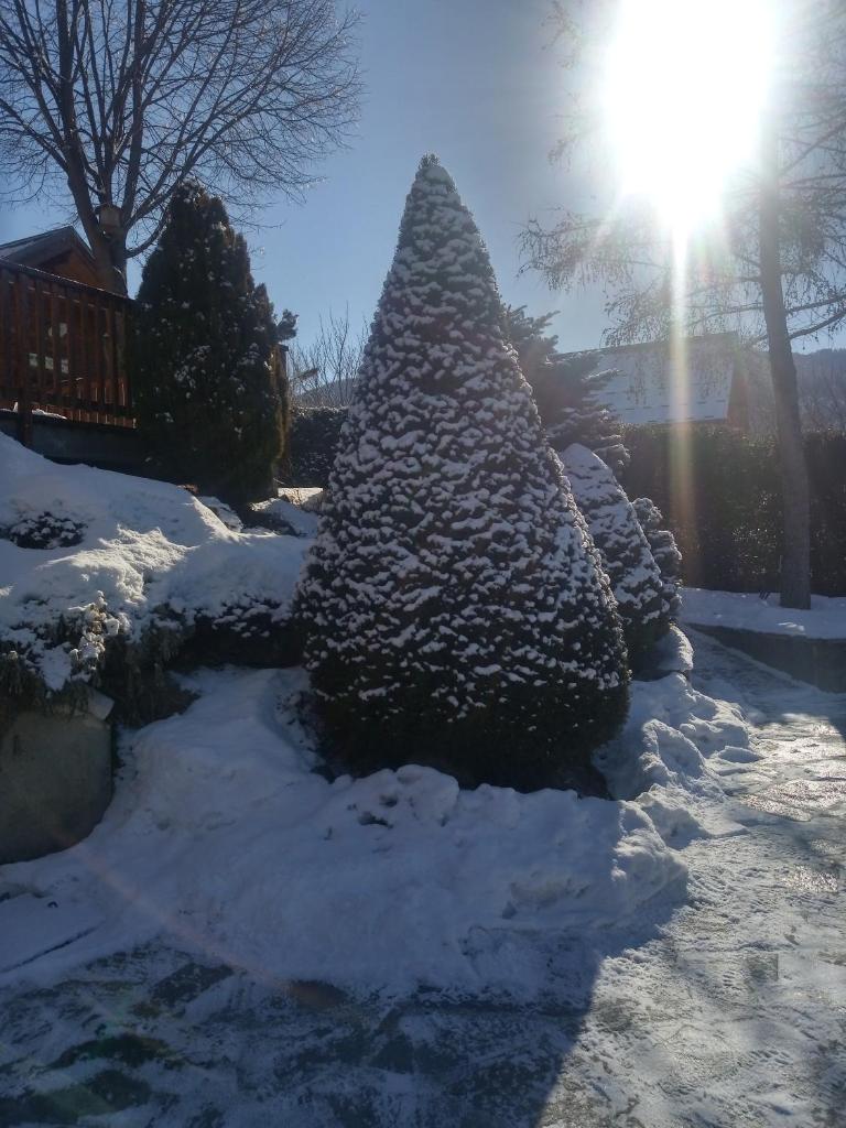 La Carline photo 3
