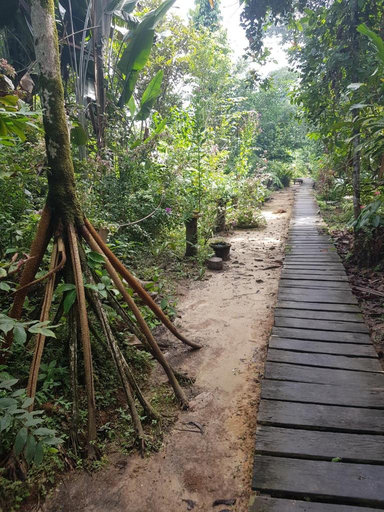 Omshanty Jungle Lodge photo 4