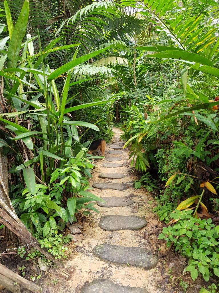 Omshanty Jungle Lodge photo 2