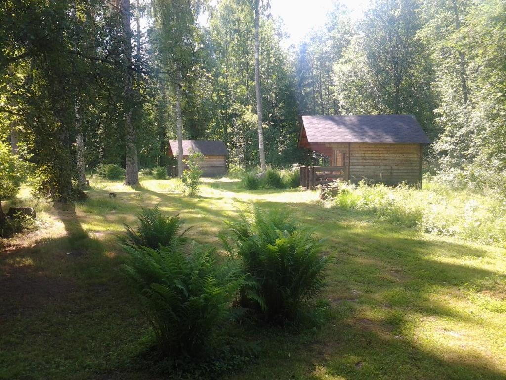 Haaviku Nature Lodge photo 3
