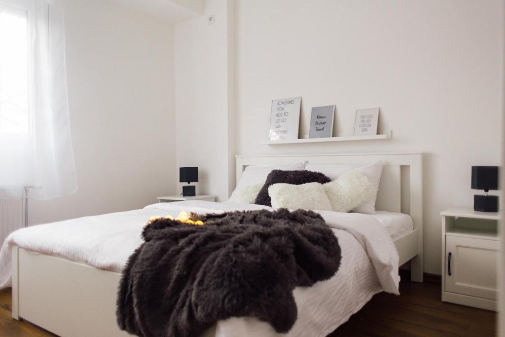 NEW Center Apartments photo 3