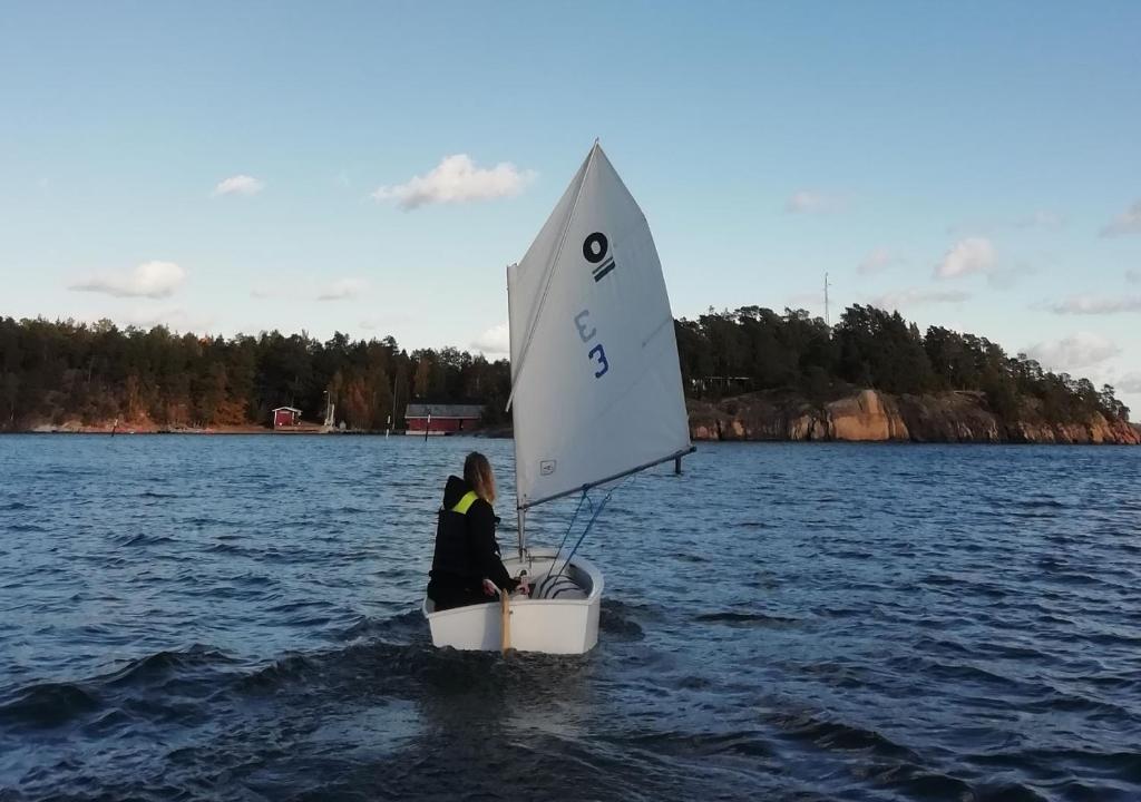 Björkholm mökit photo 4