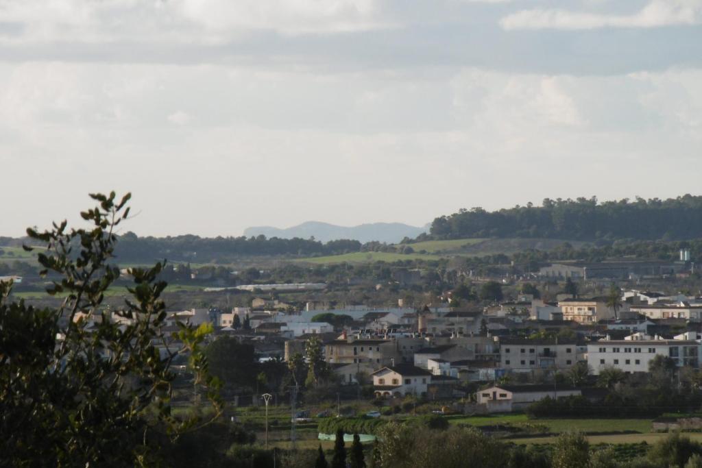 Sa Comella photo 4