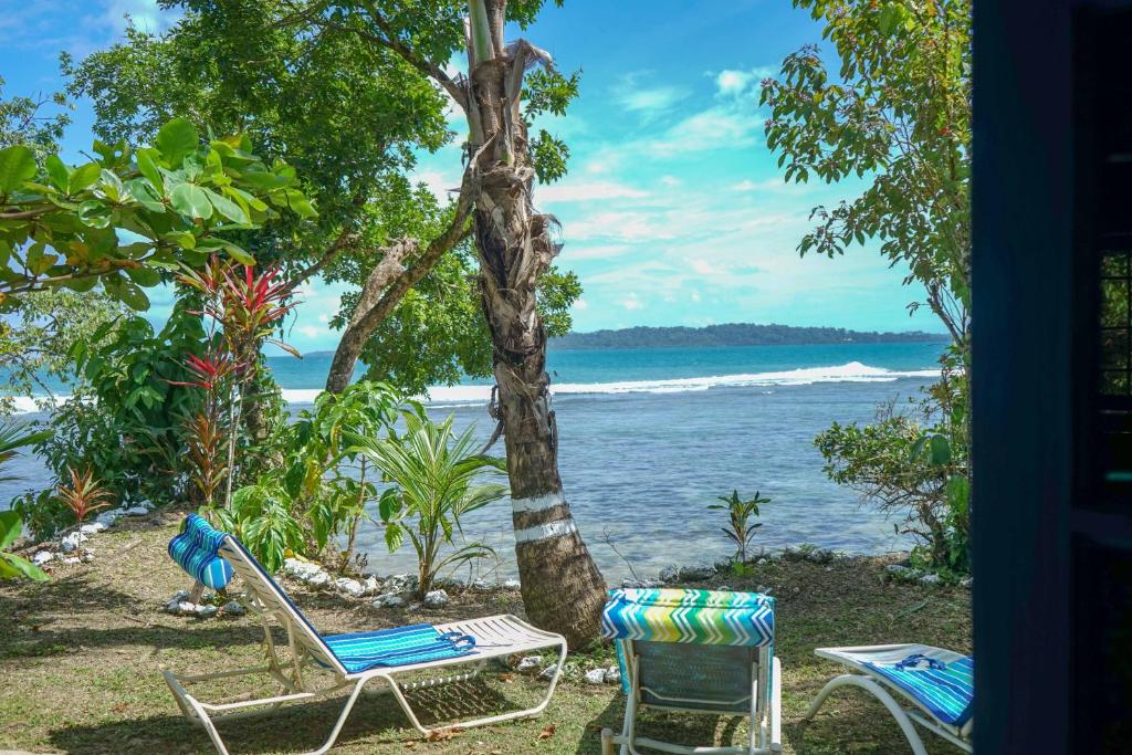 Mosana Reef Garden B&B photo 1
