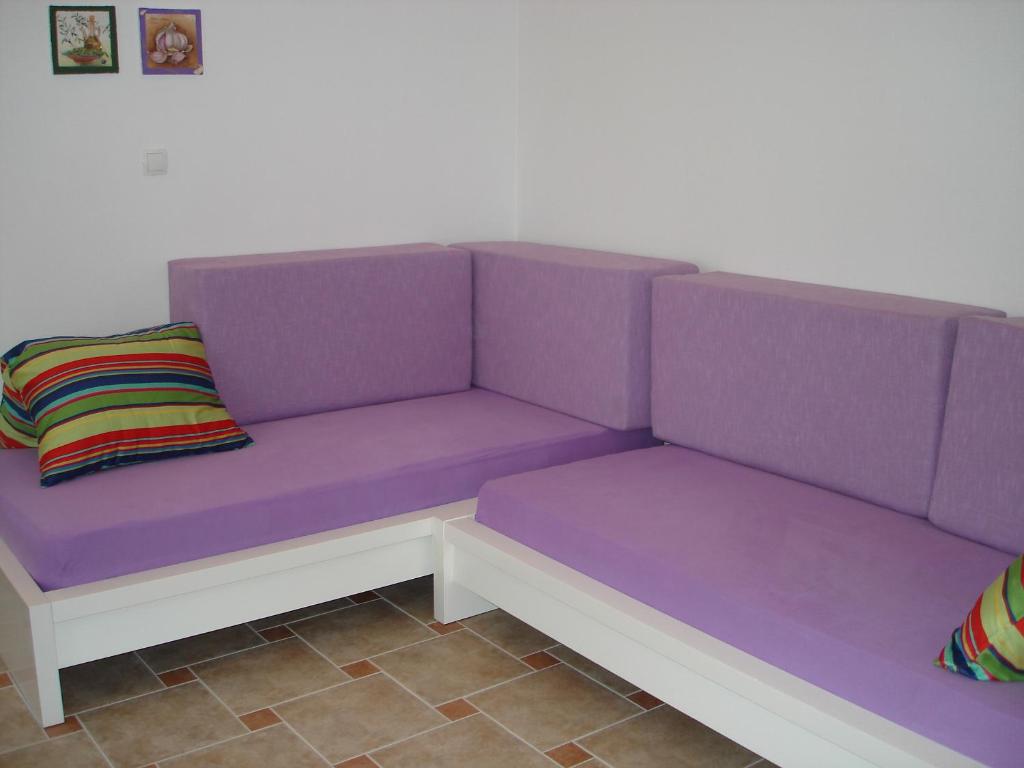 Apartments Dalmatina photo 1