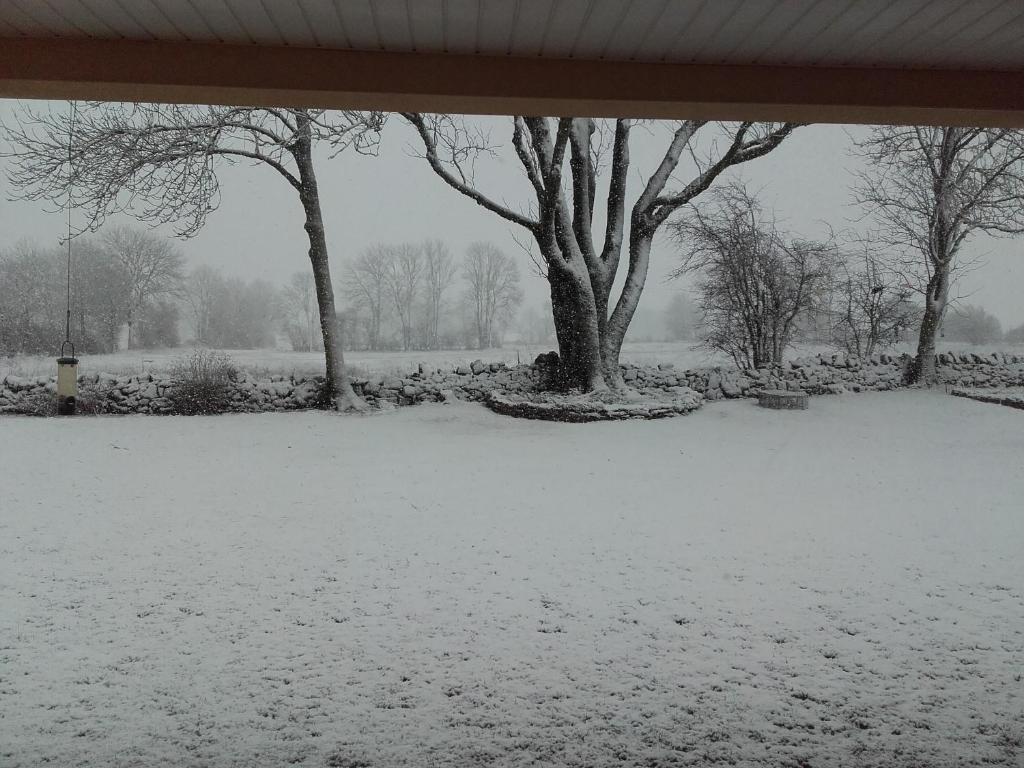 Acaba d'Entrar photo 3