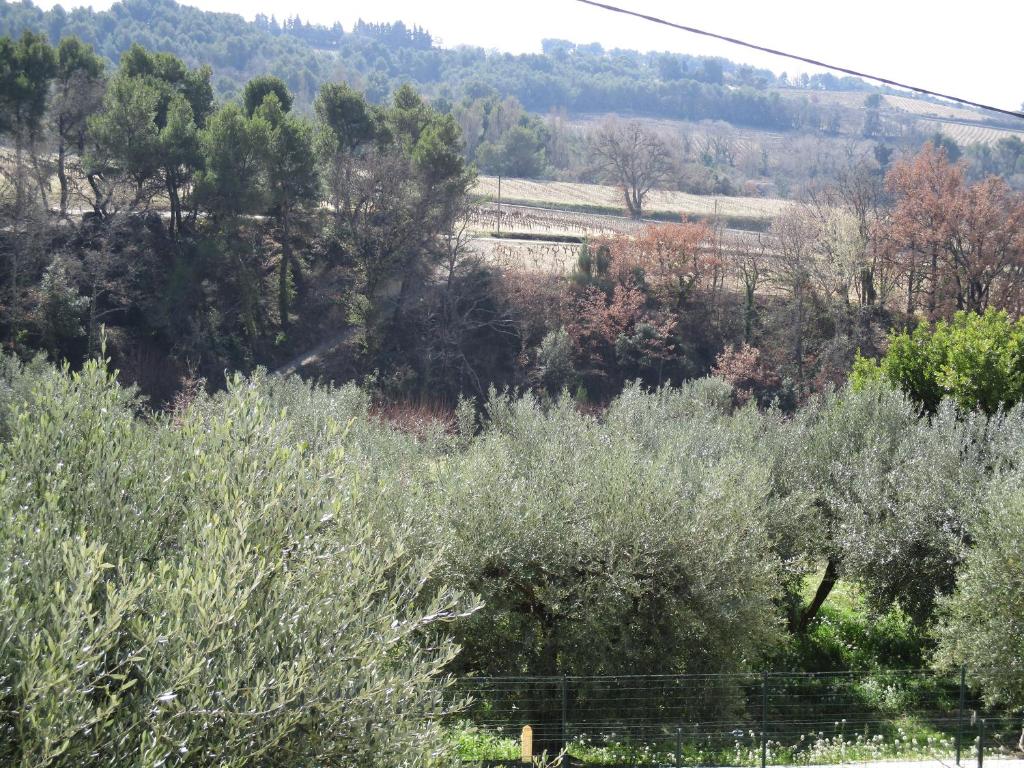 Gîte en provence au coeur des vignes photo 4