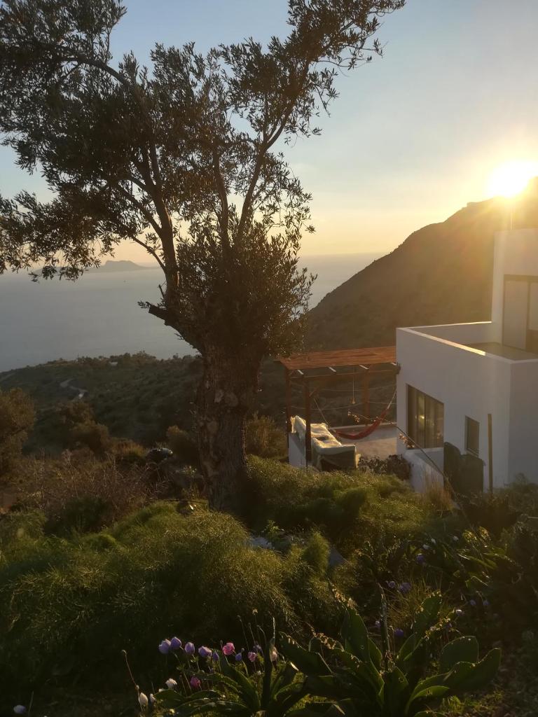 Sea Breeze Ecological Villa photo 4