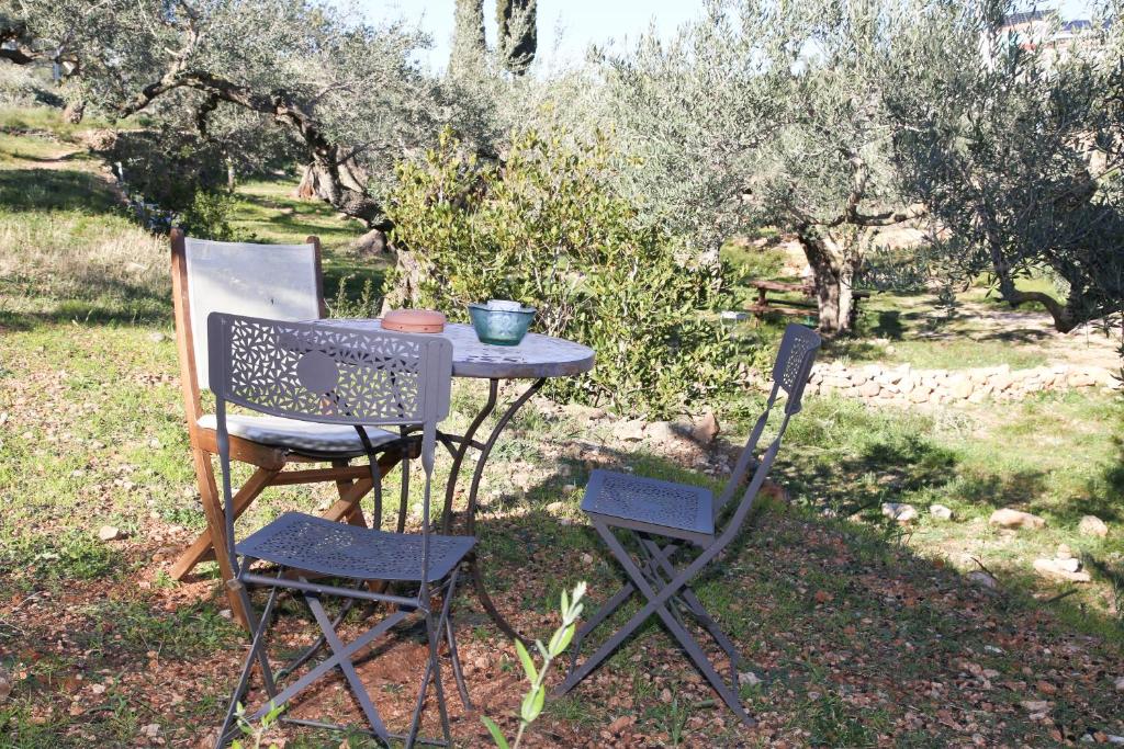 Yurta Mongola Delta del Ebro photo 2