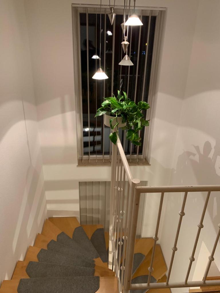 Ferienwohnung Blütenstadt photo 1
