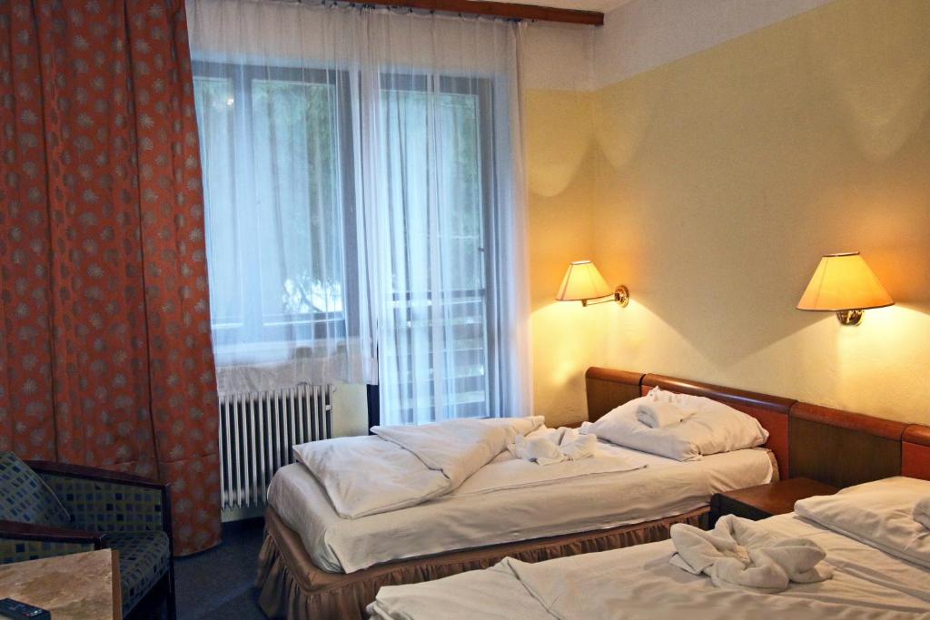 Hotel Medlov Depandance photo 4
