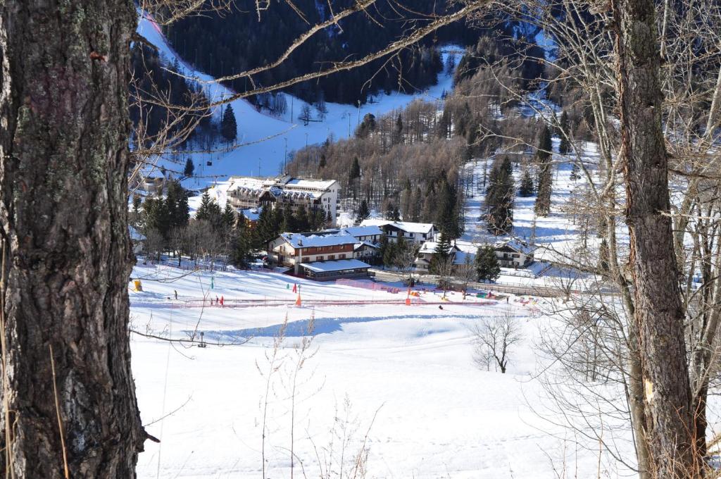Hotel Flora Alpina photo 2