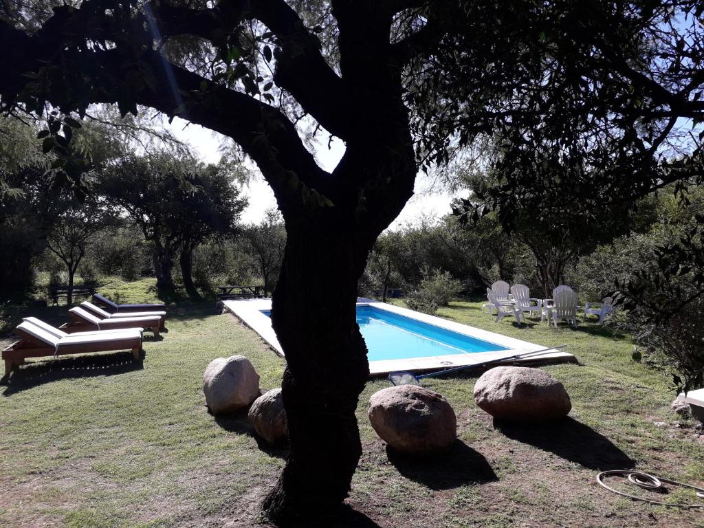Monte Capilla photo 3