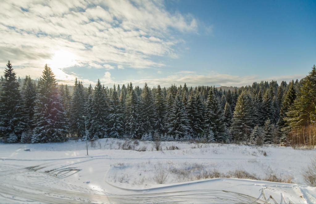 Silver Mountain 3 Bedroom Apartment photo 4