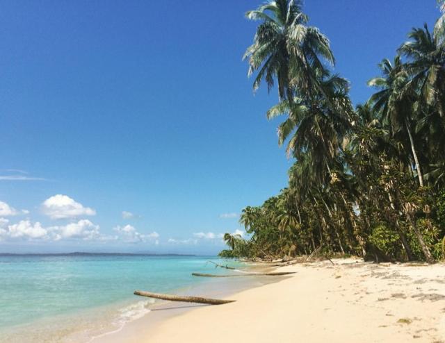 Play to Live San Blas photo 3