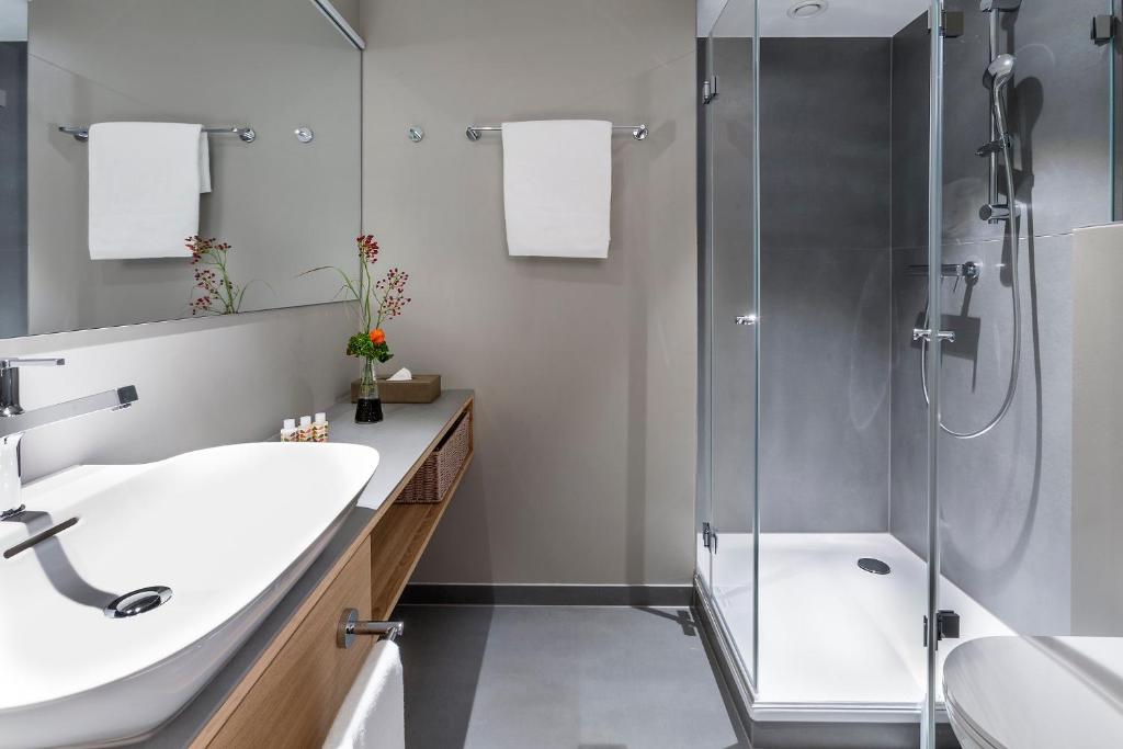 Двухместный (Двухместный номер с 2 отдельными кроватями), Hotel Basel