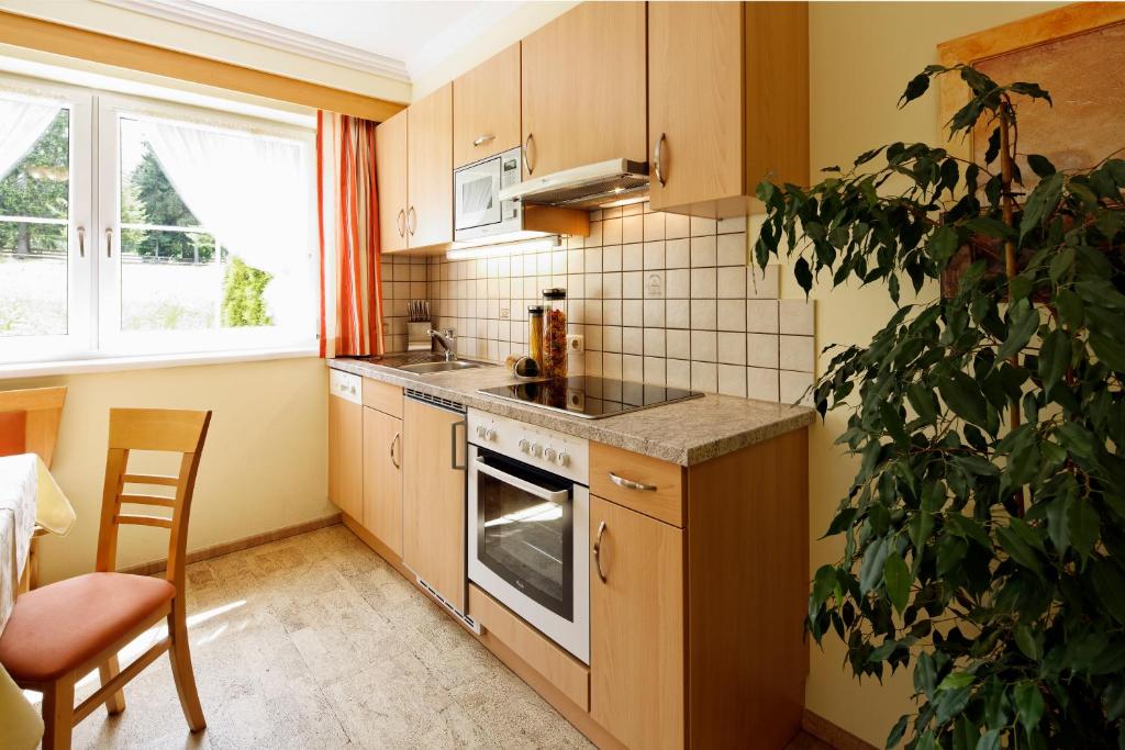 Апартаменты (Апартаменты с 1 спальней), Appartment Kinigadner