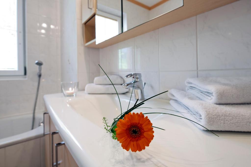 Апартаменты (Апартаменты с 1 спальней), Appartment Kinigadner