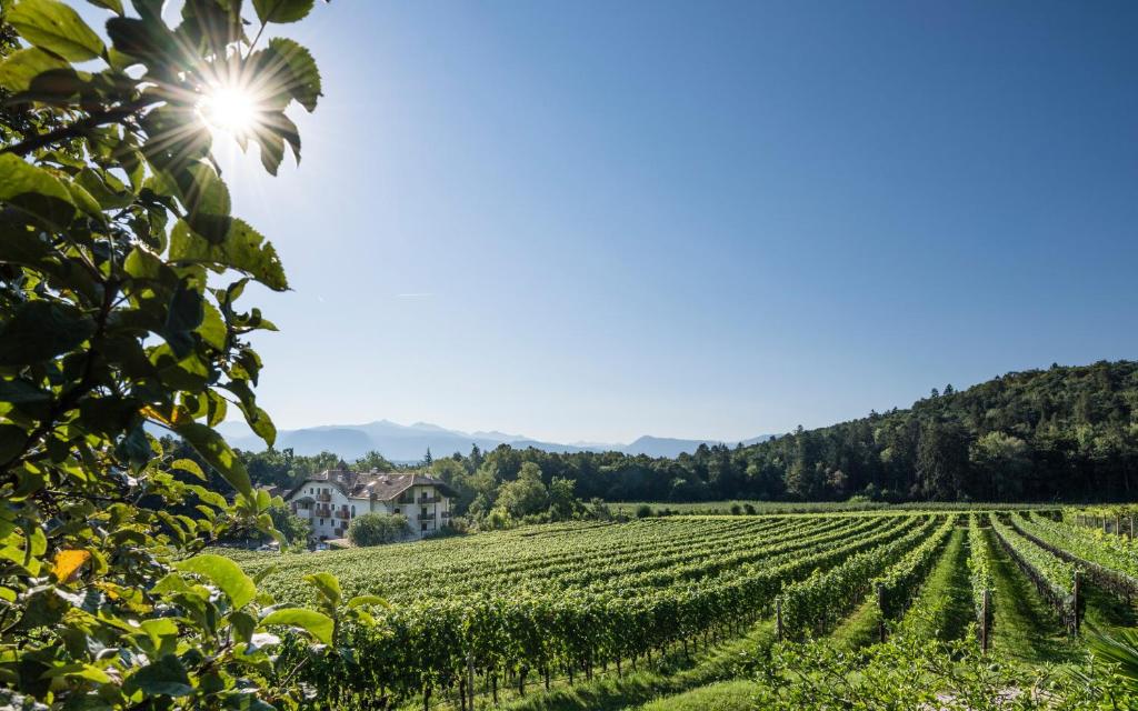 Hotel Weingut Stroblhof photo 4