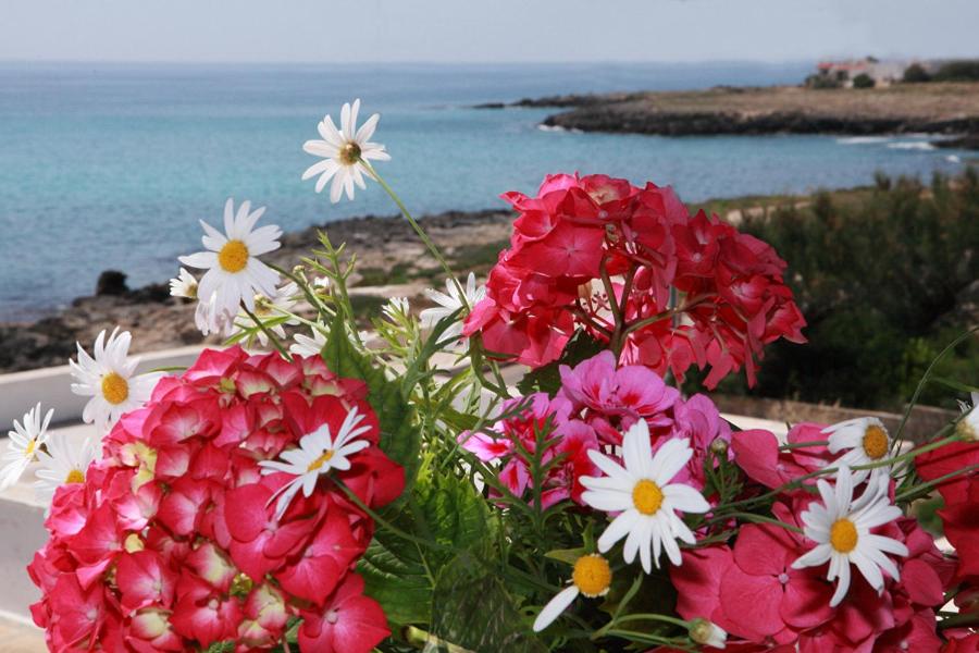 Casa Vacanze Fronte Mare photo 2