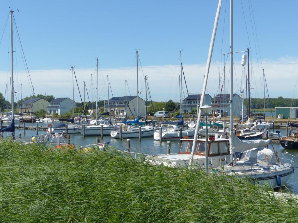 Wierhooft 21 photo 1