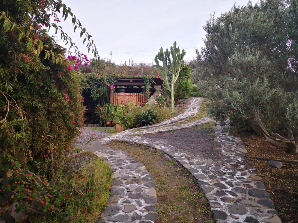Finca Alda photo 2