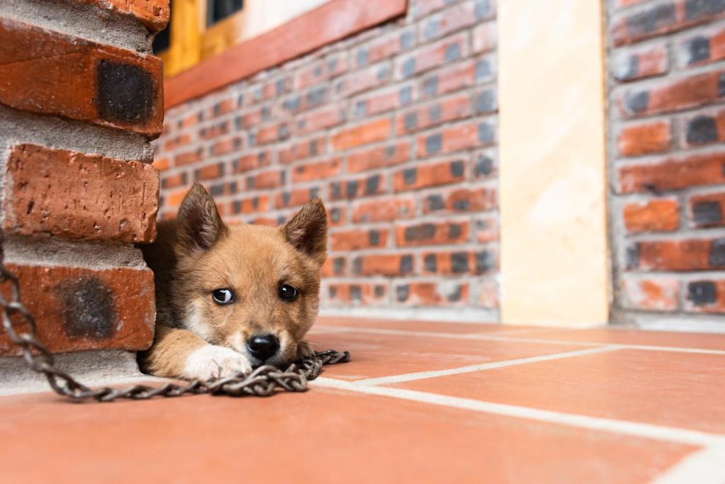 Ninh Binh Palm Homestay