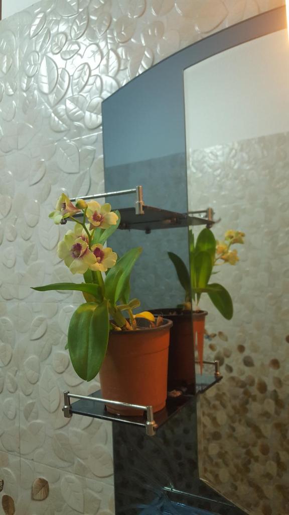 Ranga Villa photo 3