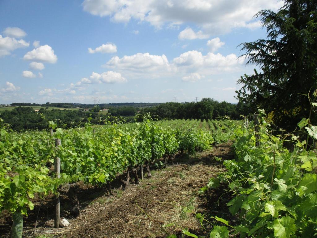 Logis de Bois Roche (2) photo 1