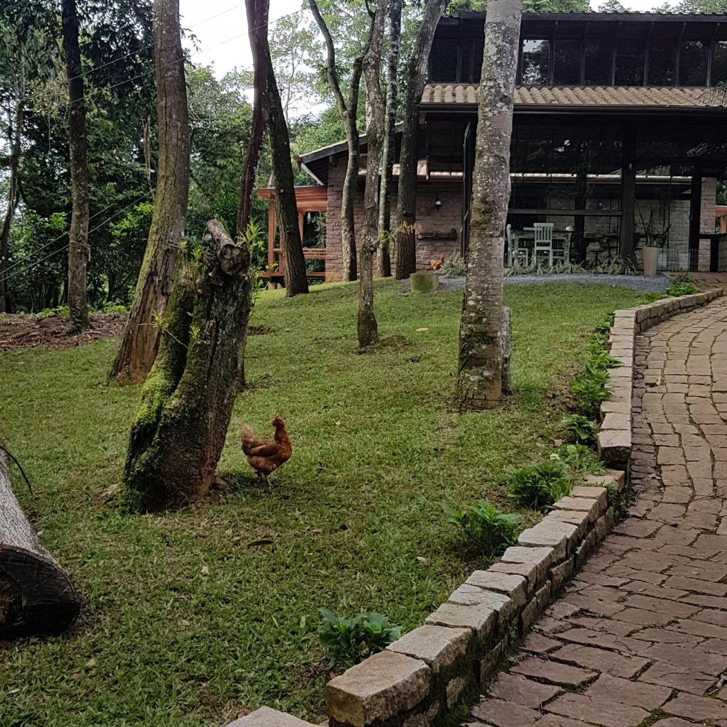 Bosque São Francisco photo 1