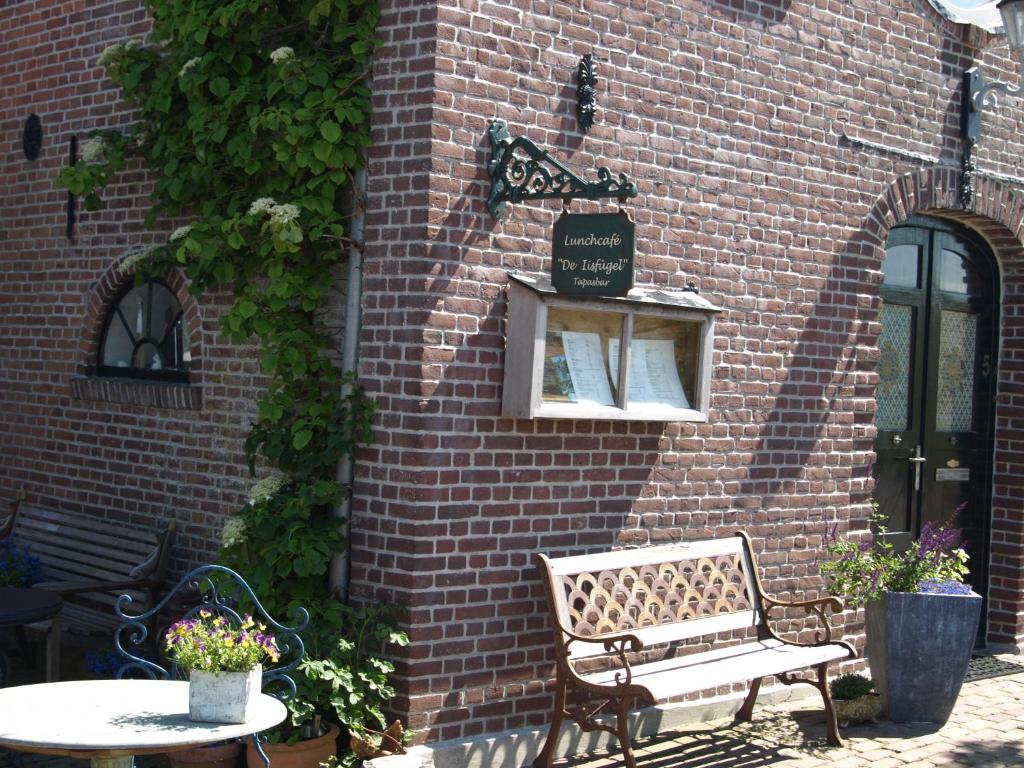 De iisfugel photo 1