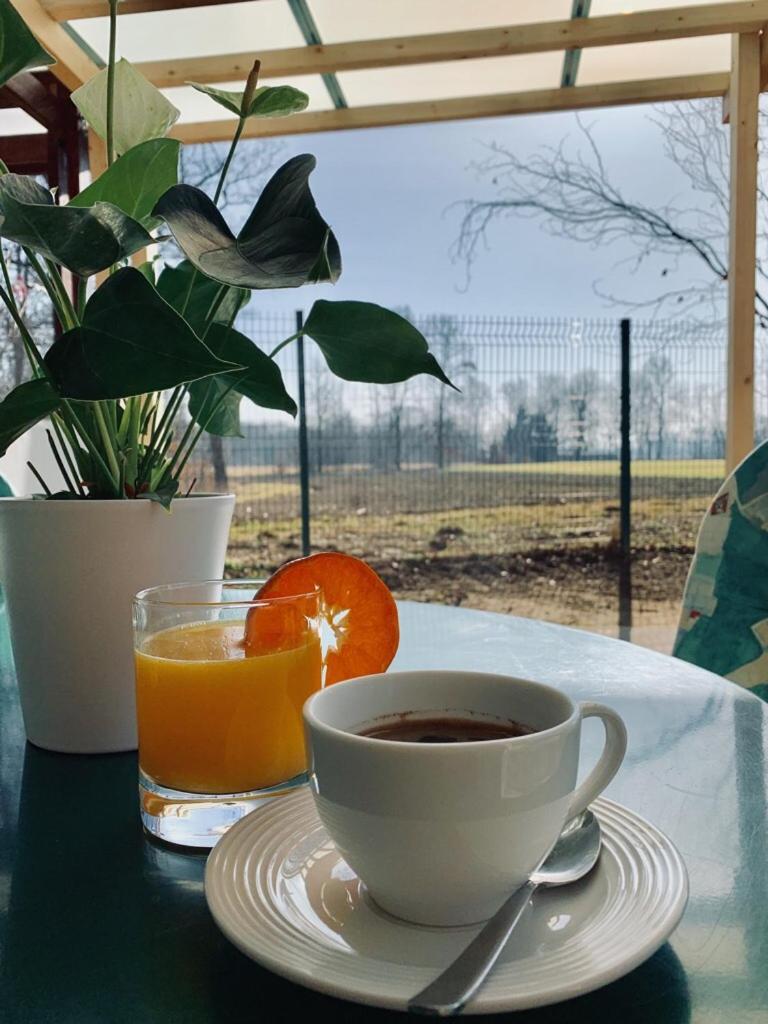 Apartma Špelca Banovci photo 1