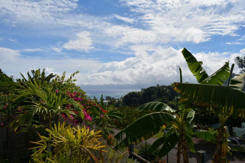 Manuiti apartment - Punaauia - 2 bdr - Wifi - AC - Pool - up to 7 people photo 4