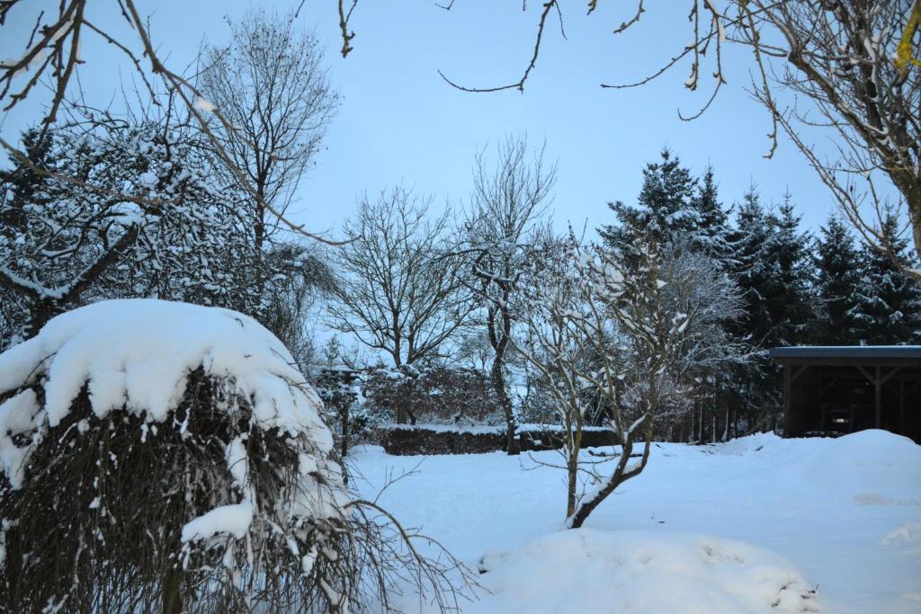 Eifelgold photo 4