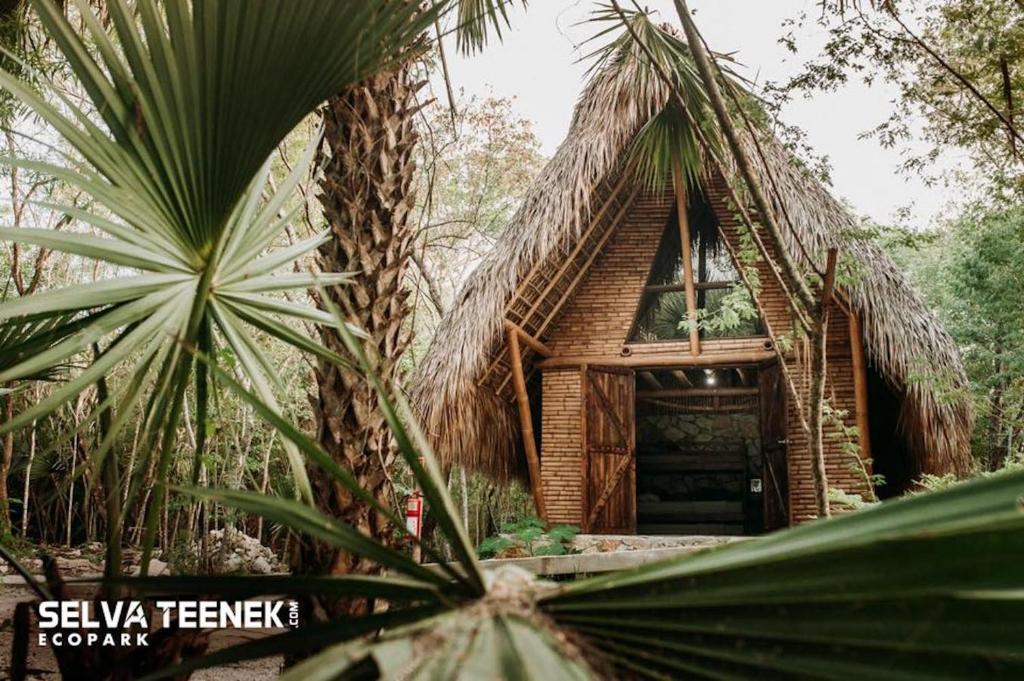 Selva Teenek Eco-Park photo 4