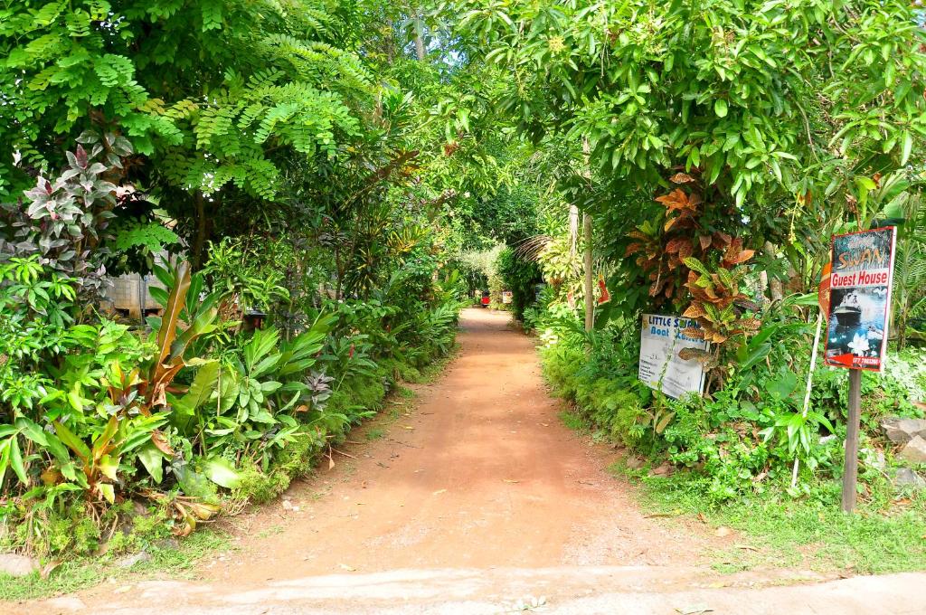 Little Swan Guest house photo 2