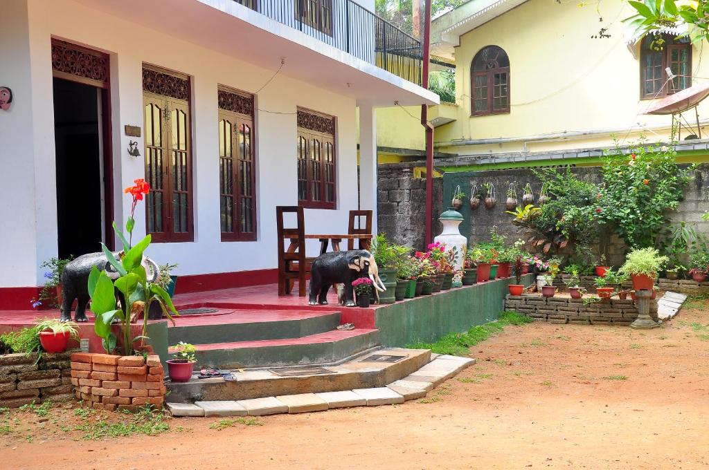Little Swan Guest house photo 4