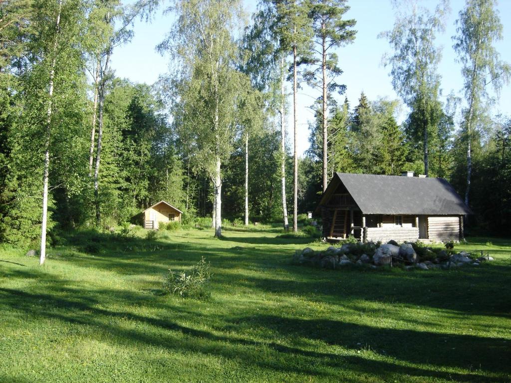 Haaviku Nature Lodge photo 1