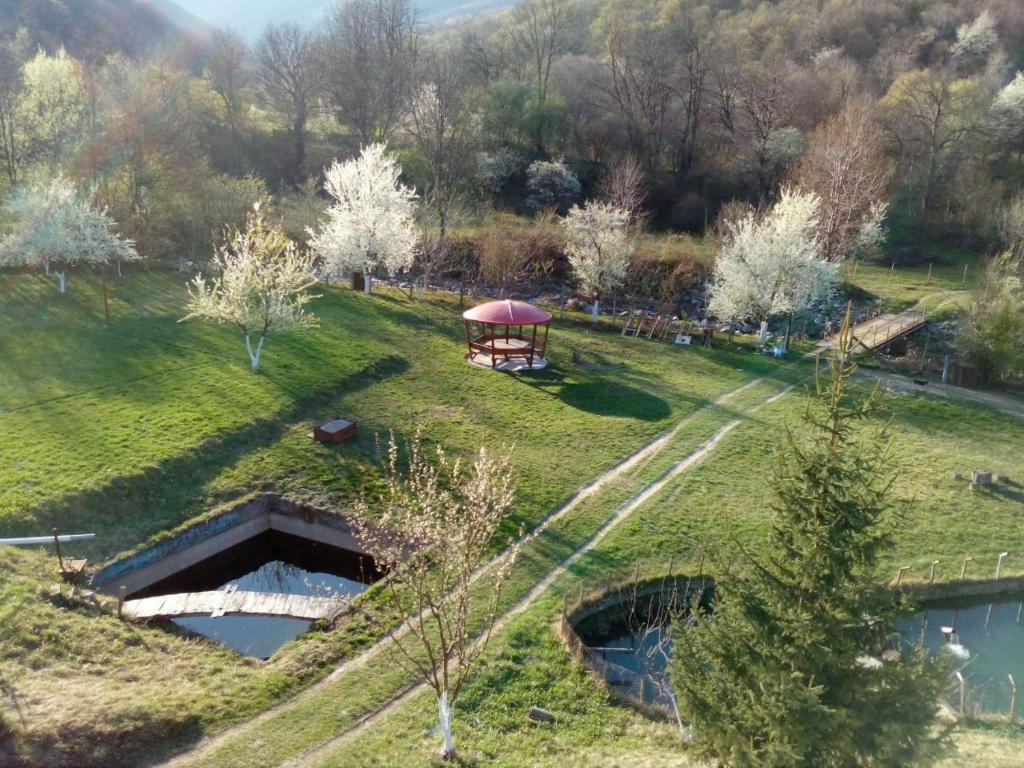 Bungalows Zdravets photo 1