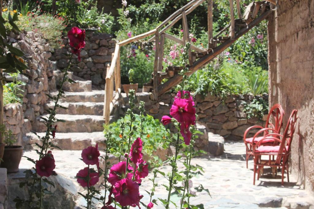 Douar Samra photo 3