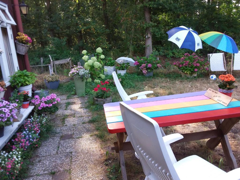 Regina Vught photo 2