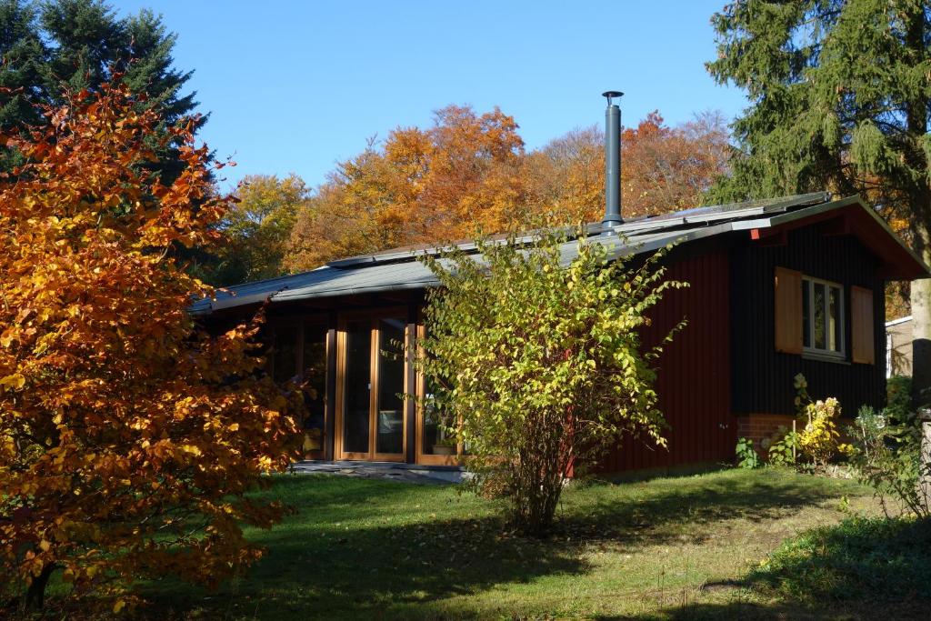 Waldhaus Allrode photo 3