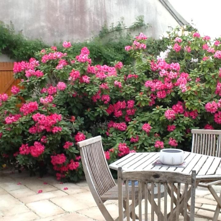 Domaine de la Botterie photo 4